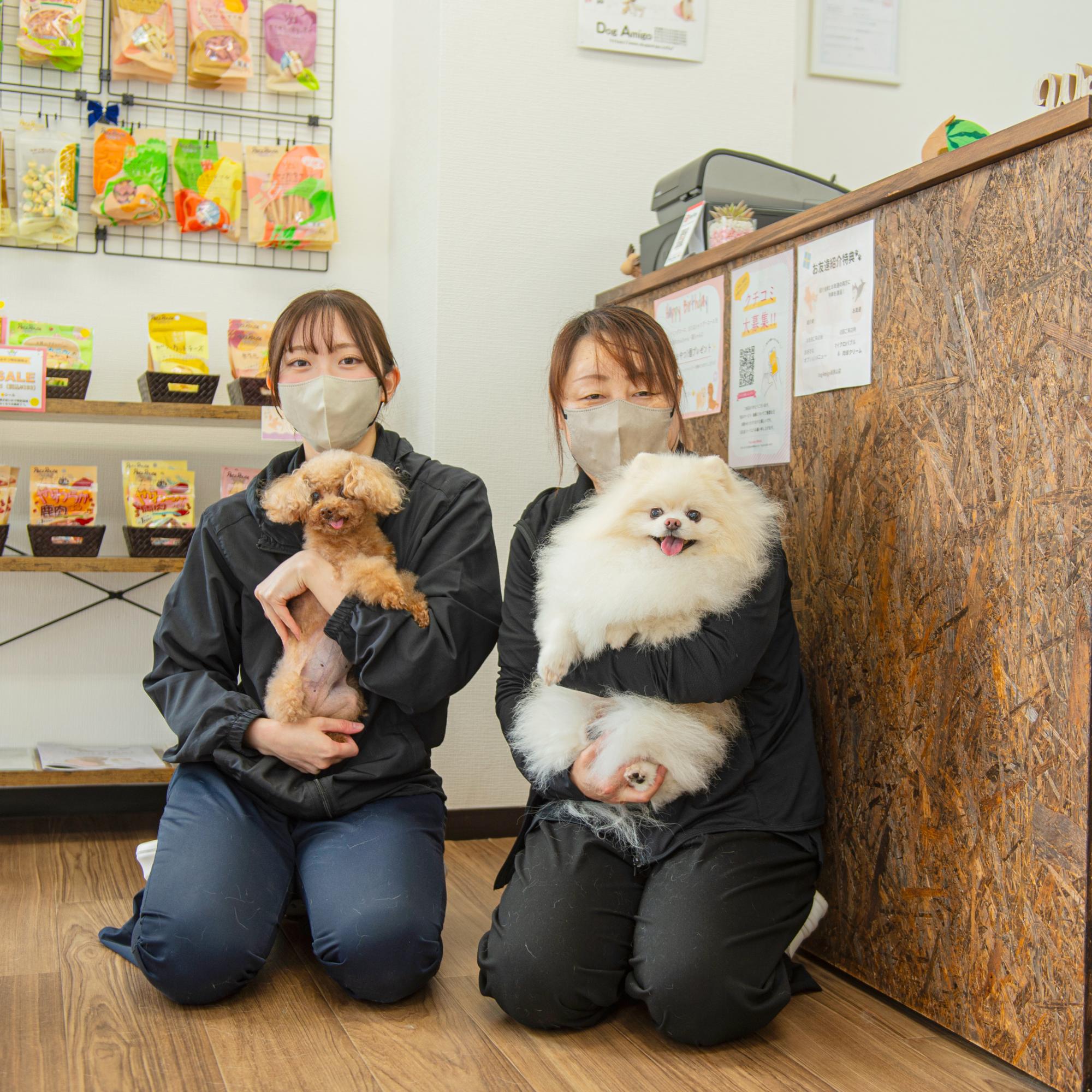 スタッフ